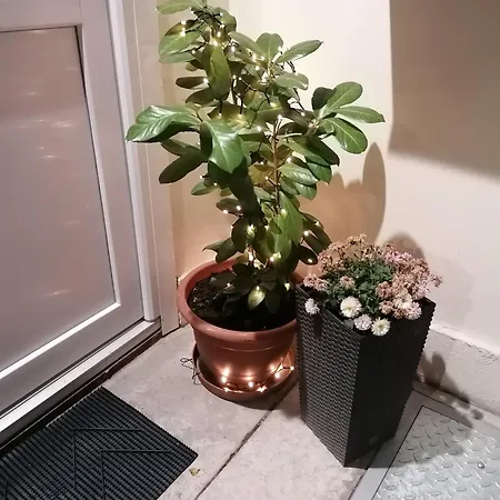 Mohacs Korona Apartman Exterior foto