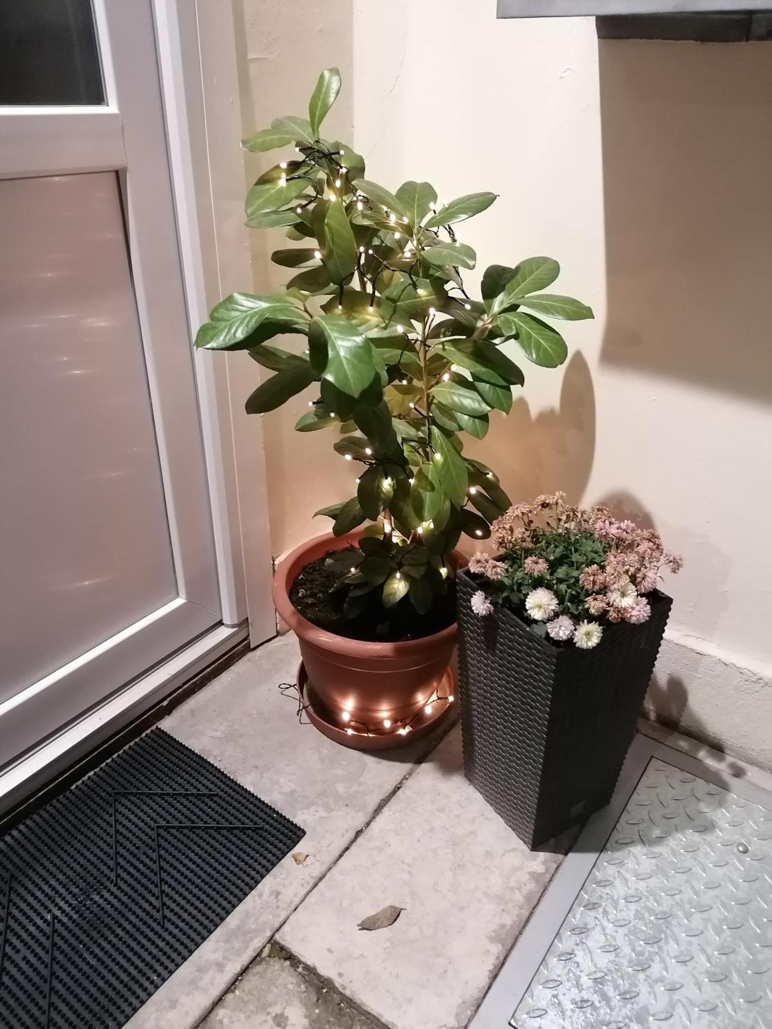 Apartment Korona *